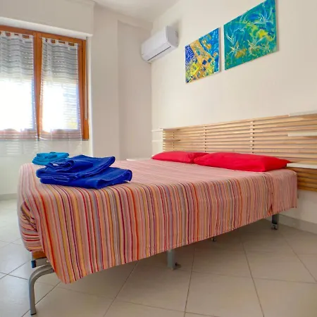 Artist Alguerhouse 阿尔盖罗