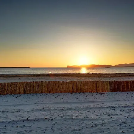 Artist Alguerhouse *